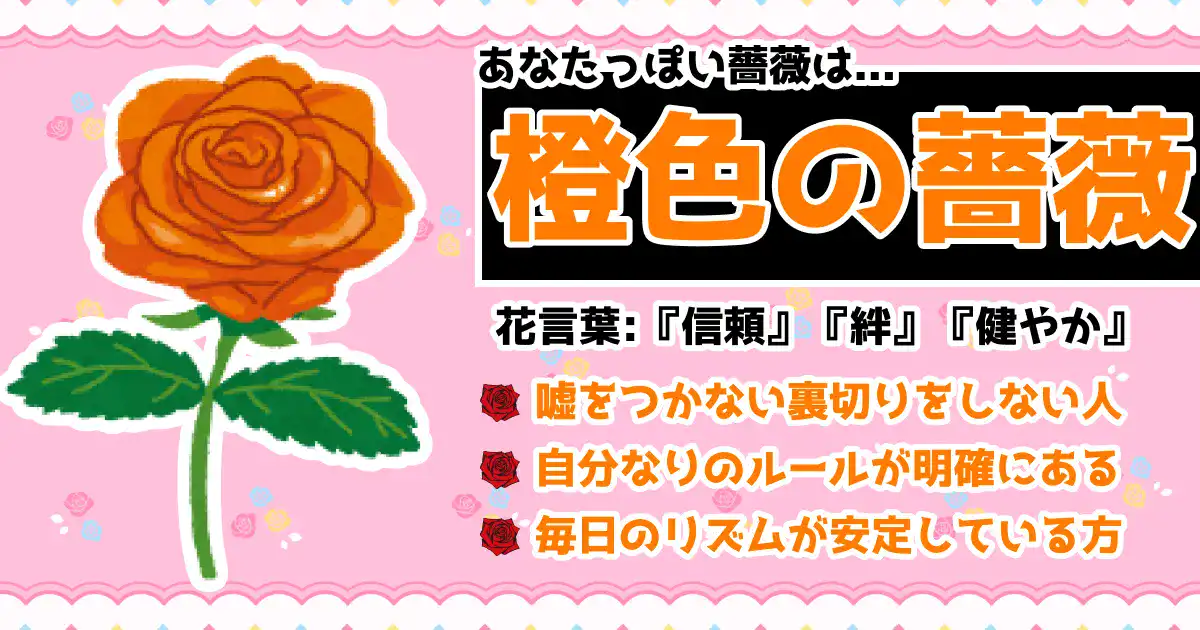 オレンジ色の薔薇の画像