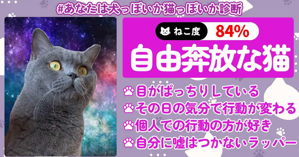 「ねこ度84%」自由奔放な猫の画像