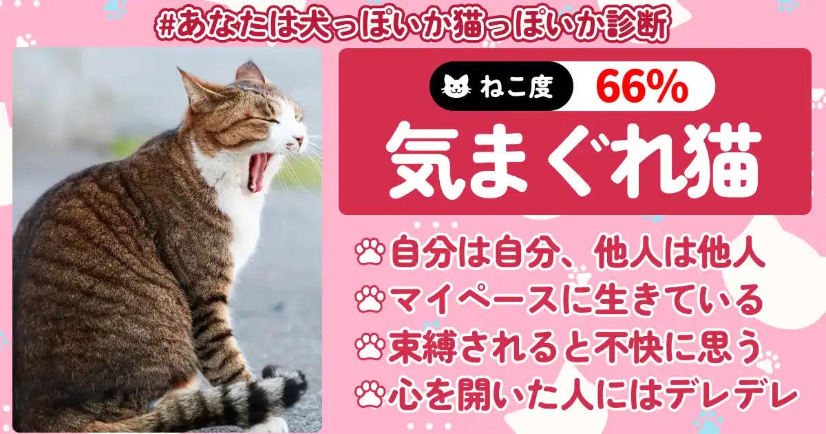 「ねこ度66%」気まぐれ猫の画像