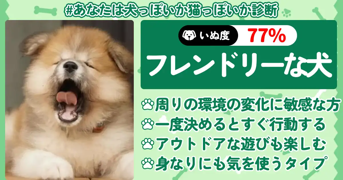 「いぬ度77%」フレンドリーな犬の画像