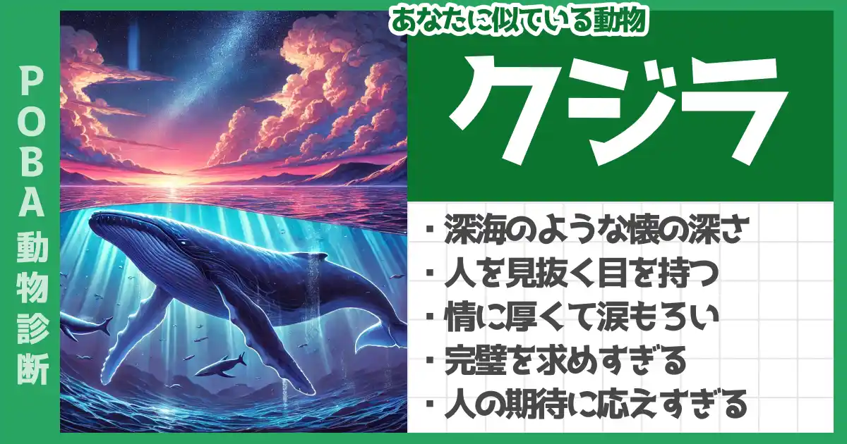 クジラの画像