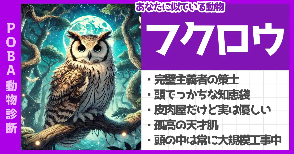 フクロウの画像