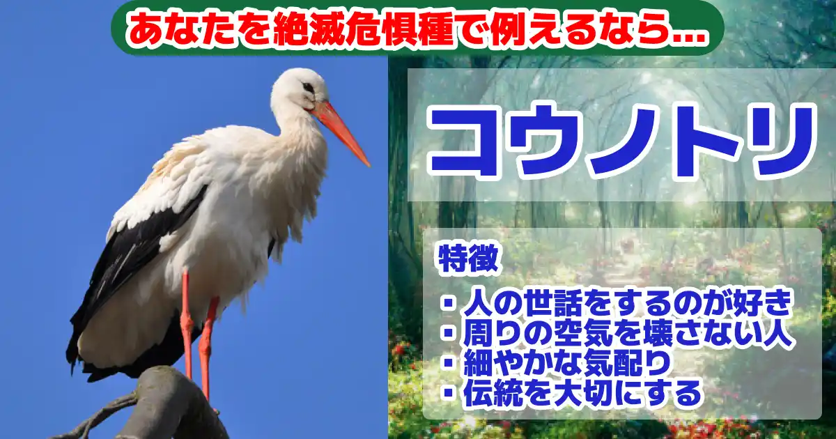 コウノトリの画像