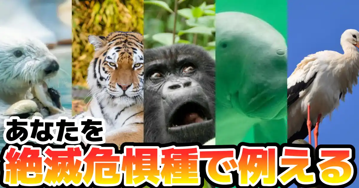 あなたを絶滅危惧種の生物で例えるなら診断